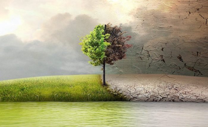 Çevre koruma harcamaları 2021’de yüzde 59 arttı