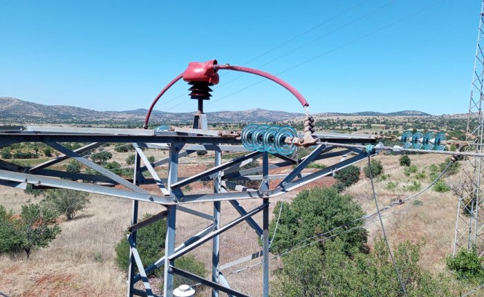 OEDAŞ göçmen kuşlar için koruma çalışması yapıyor