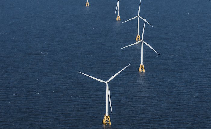 WWF ve Ørsted'den denizüstü rüzgar enerjisi ortaklığı 