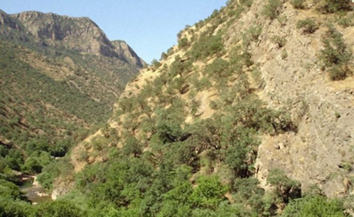 Nas Enerji, Siirt’te 80 MW’lık Eruh HES kuracak