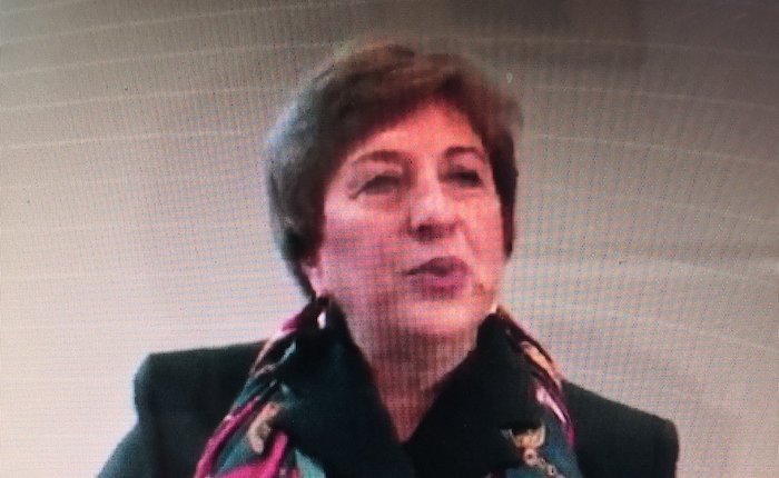 Karagöz: Enerji üretiminde toplumsal mutabakat şart