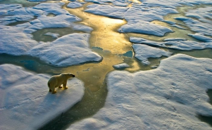 COP15 ile doğa koruma hedefleri netleşti