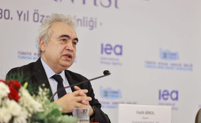 Fatih Birol: 2025 yılında yenilenebilir enerji bir numara olacak