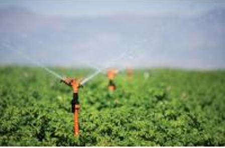 PEPSICO’dan sürdürülebilir tarım uygulamaları