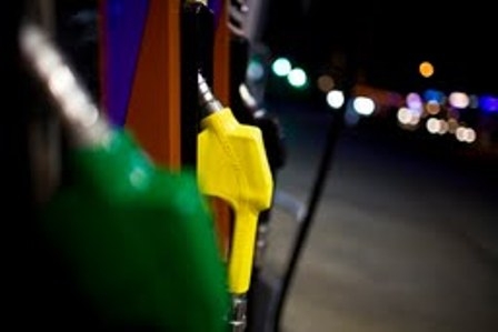 Starpet’ten İstanbul’da bayram indirimi