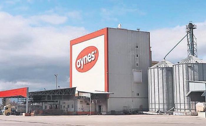 EPDK Aynes Termik’e 38 yıl 8 aylık üretim izni verdi