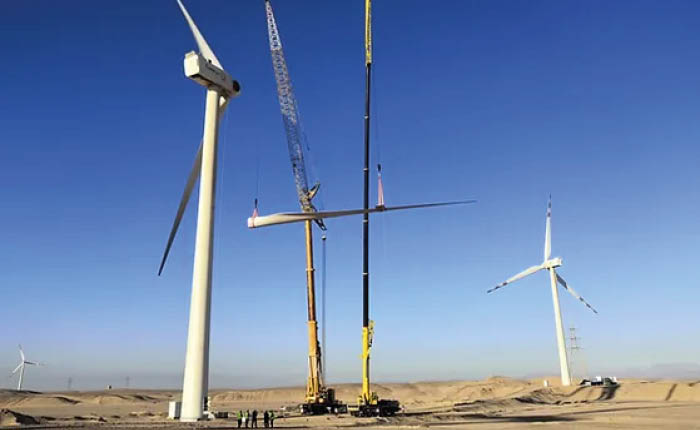 Mia ve Rensol ortaklaşa Enerjey Enerji’yi kurdu