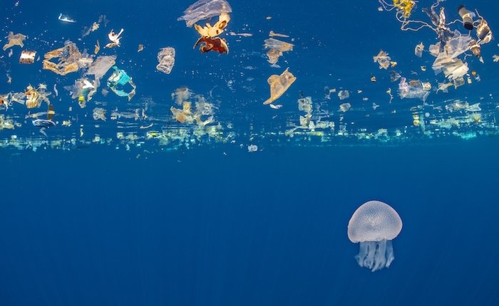 Dünya Çevre Günü’nün 51. yılı kutlanıyor 