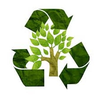 Türk Hava Yolları’ndan kağıt tasarrufu