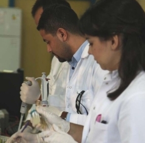 Türkiye’de ilk kez bakteriden elektrik üretildi