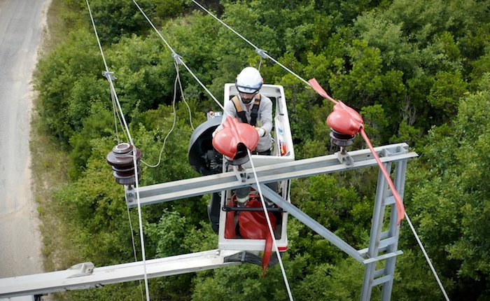 Toroslar EDAŞ, kuş arızalarını yüzde 89 azalttı