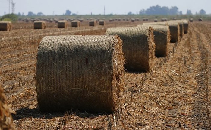 Ceta Enerji, Burdur’da 10 MW’lık biyokütle tesisi kuracak