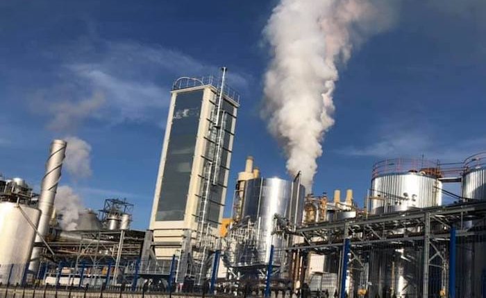 Kronospan Kastamonu tesisine biyokütle kazanı ekleyecek