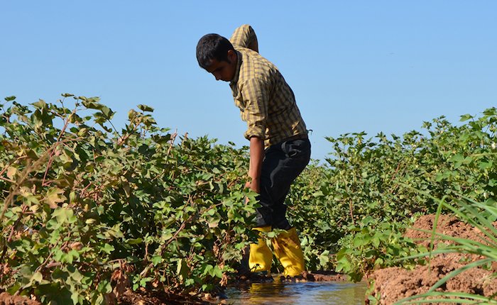 DEPSAŞ’tan abonelerine borç uyarısı