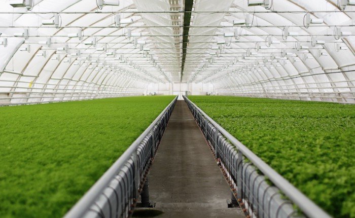 Göktekin Tarım, Afyonkarahisar’da jeotermal kaynak arayacak