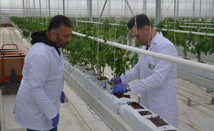 Agrotermal’den Konya’da jeotermal ısıtmalı sera