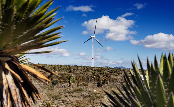 Meksika Devleti İberdrola’nın 13 üretim tesisini satın aldı
