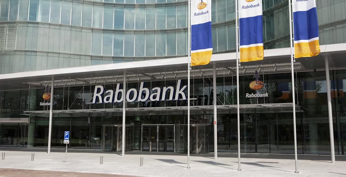 Rabobank: Yeşil hidrojende belirsizlik var
