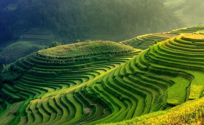 EY: Yeşil hidrojen Türkiye’nin SKDM’ye uyumunu arttırabilir