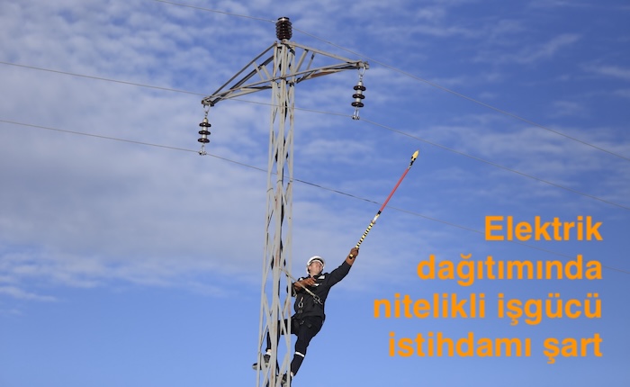 Elektrikte kayıp-kaçakla mücadele yılda 1 milyar dolar getirdi