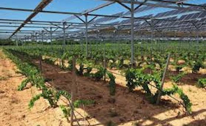 ABD yönetimi tarım arazilerindeki RES ve GES’leri desteklemeyecek