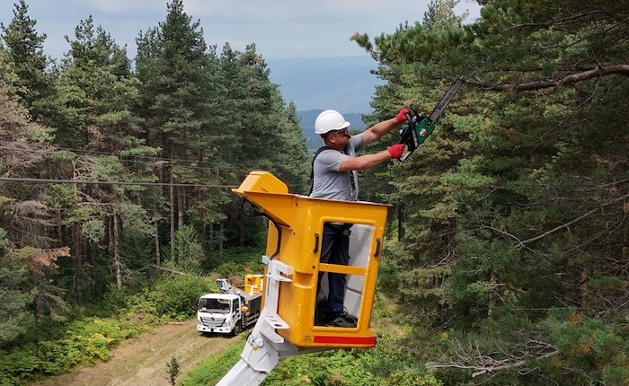 SEDAŞ, orman yangınlarına karşı denetimlerini artırdı