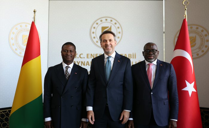 Gine ile enerji iş birliği masada