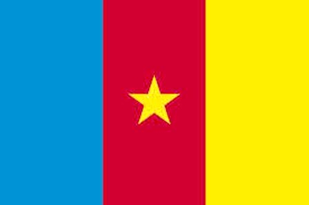 Kamerun ile enerji ve hidrokarbonlar alanında işbirliği