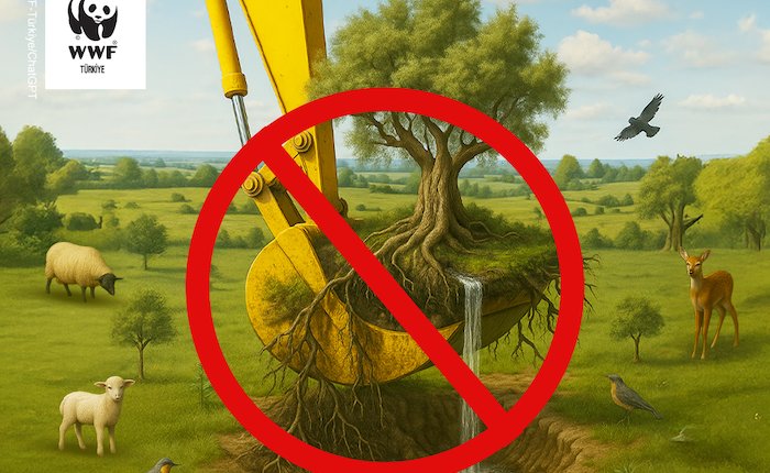 WWF-Türkiye: Doğa Taşınamaz, Ekosistem Yerinden Edilemez