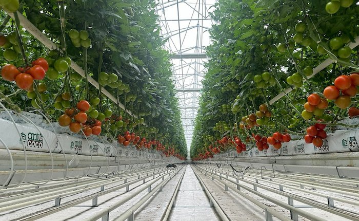 Kula Seracılık, Manisa’da jeotermal kaynak arayacak
