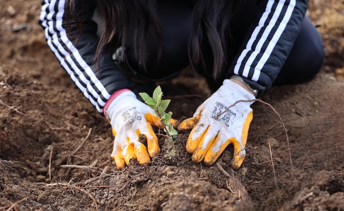 1.9 milyon Uludağ abonesinden yılda 800 ton su tasarrufu