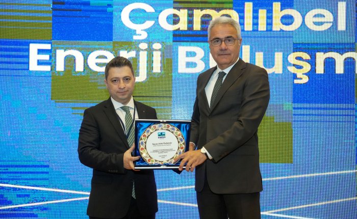 Bülbül: 2035’e kadar 466 milyon ton emisyon azaltımı hedefleniyor