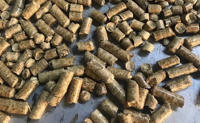 Manisa’da tehlikesiz çamur kurutma ve pelet tesisi kurulacak