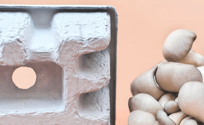 Vyoltech, Manisa’da atık kâğıtlardan viyol üretecek