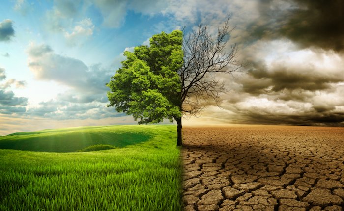 IPCC uzmanları emisyon azaltımı yollarını masaya yatırıyor
