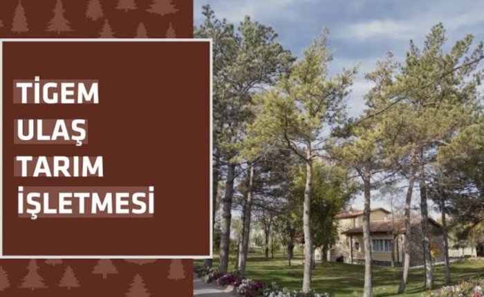 Ulaş Tarım'dan Sivas'ta yıllık elektrik alım ihalesi