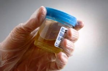 Cep telefonları idrarla şarj edilecek!