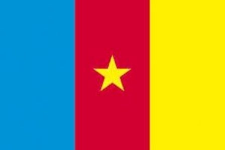Kamerun ile enerji ve hidrokarbonlar alanında işbirliği yürürlükte