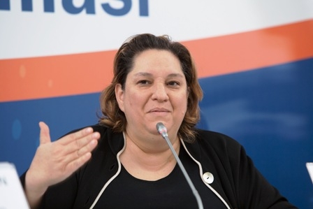 Bodur: Yenilenebilir enerjiyi geliştirmek ve devlet teşviki şart