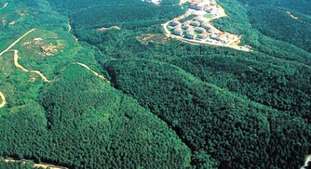 Ormanlık alanlar enerji aramalarına açıldı