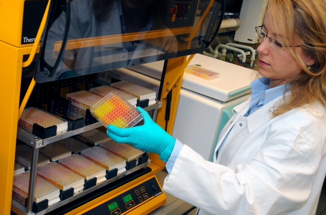 BASF petrol ve gaz segmentlerinde düşüş