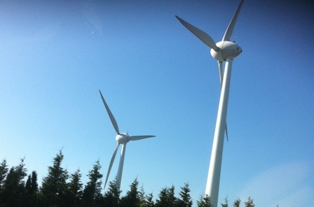 Türkiye`nin rüzgarına Dünya Bankası desteği