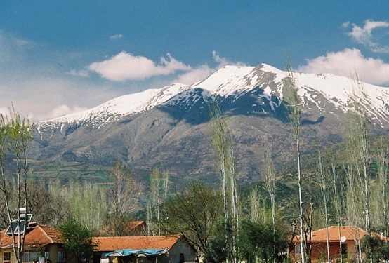 Alares için acele kamulaştırma