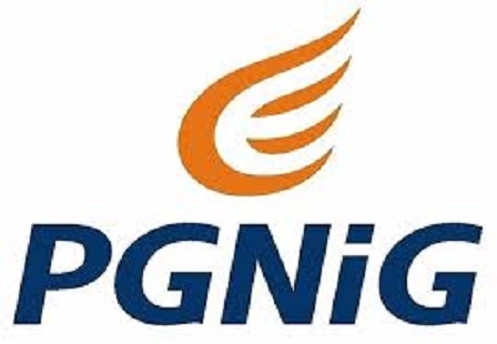 PGNİG’nin doğalgaz satışları düştü