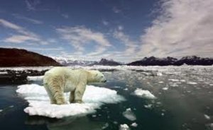 BM en kapsamlı iklim raporunu yayınladı