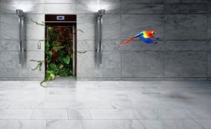 Elektrik kesildiğinde dahi asansör kullanılabilecek