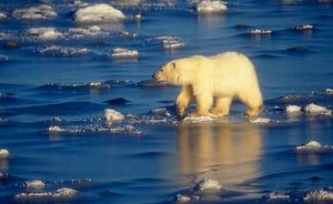 Rusya Kyoto Protokolü`nden çekildi