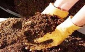 Arıcılar, Konya`da tavuk gübresinden elektrik üretecek