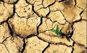 Dünya su kıtlığı tehdidi altında