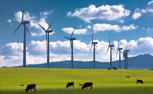 Borusan EnBW Rüzgar yatırımlarını tamamladı